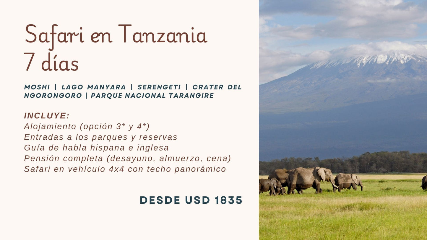 Safari en Tanzania | 7 días